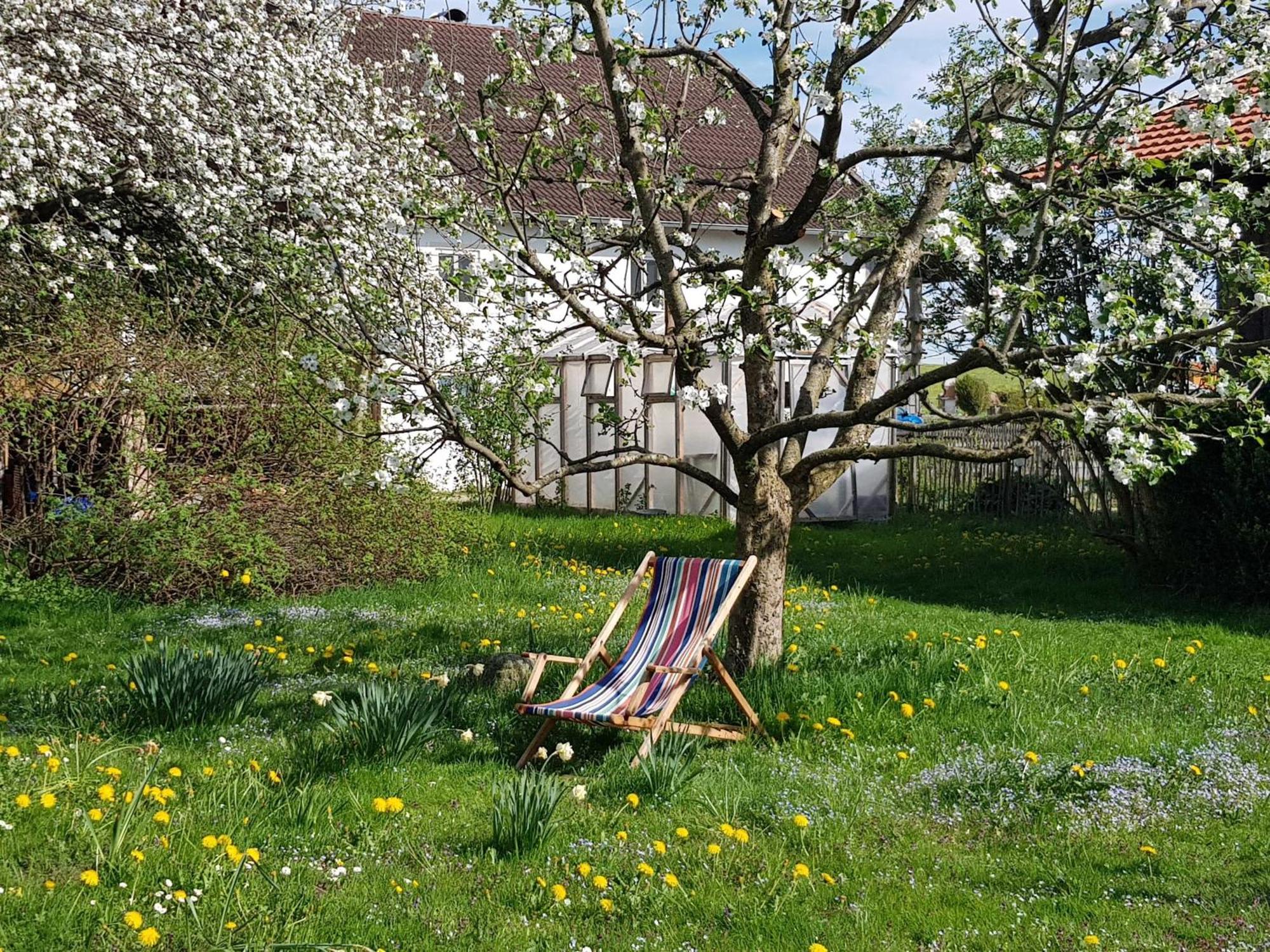 Ferienwohnung Hofen 5 파이팅 외부 사진